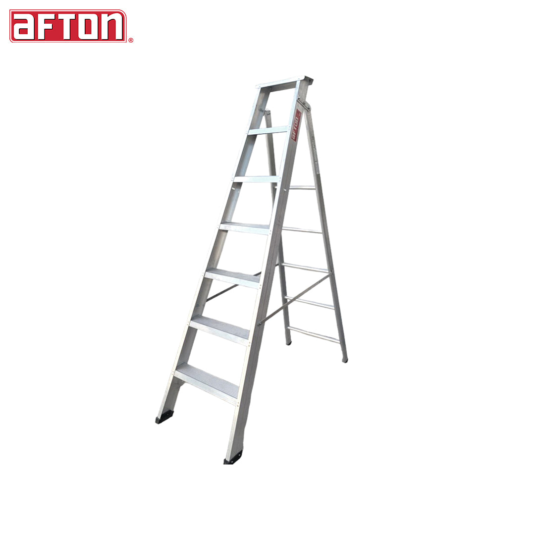 Dual Purpose Aluminum Ladder